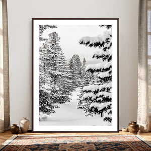 Winter Pine Forest Wall Art Canvas Print, Minimal Winter