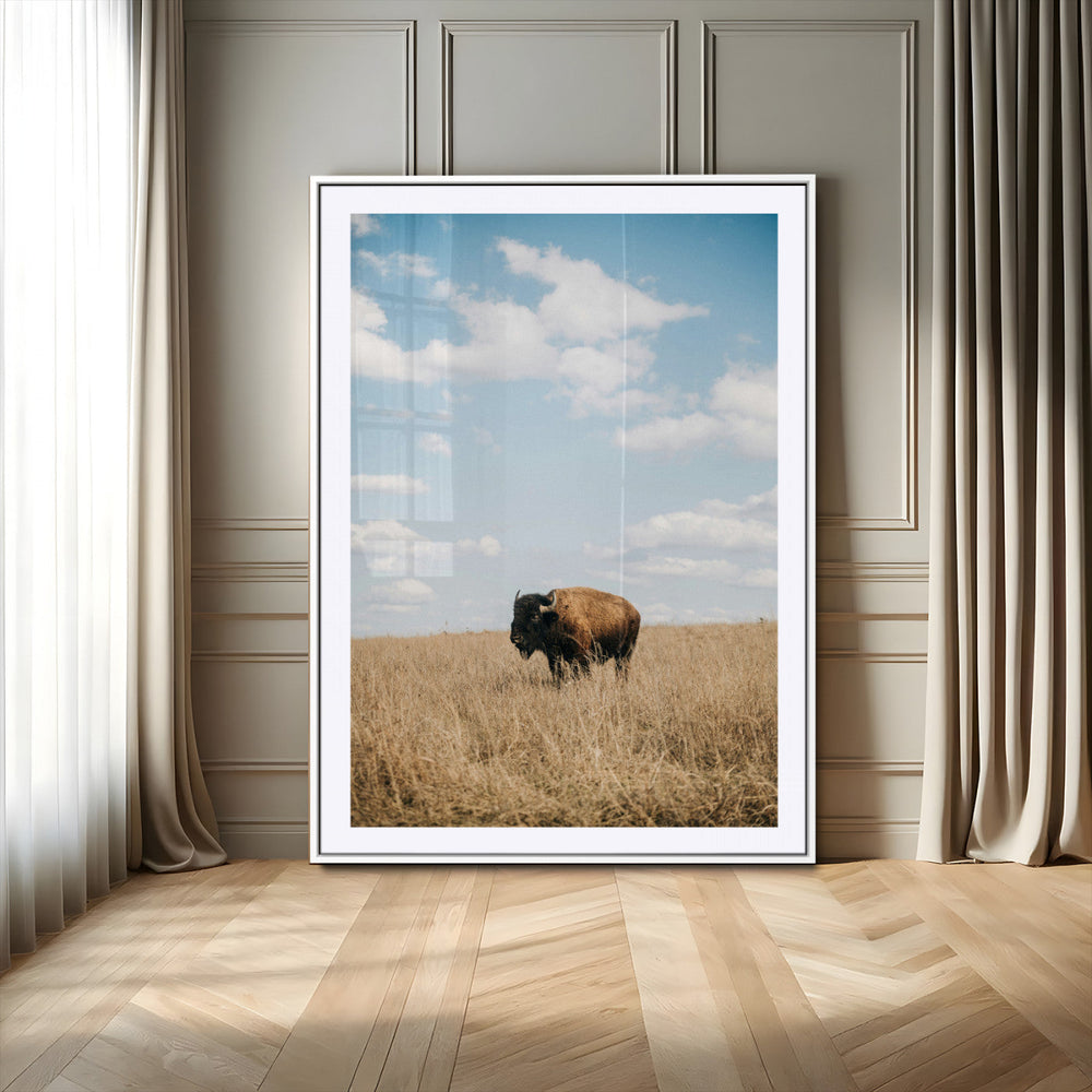 Bison Photography Wall Art Canvas Print – Framed Western