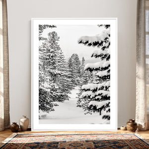 Winter Pine Forest Wall Art Canvas Print, Minimal Winter