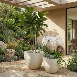 Round Concrete Planter Set of 2, Large Handmade Rustic Planter Pots