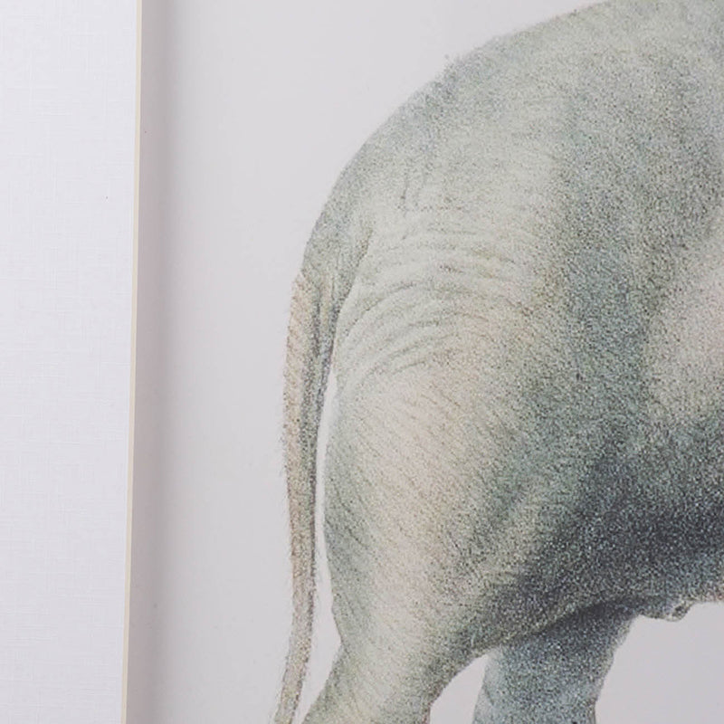 23.6x31.5" Fake Elephant Pencil Drawings, Set of 2