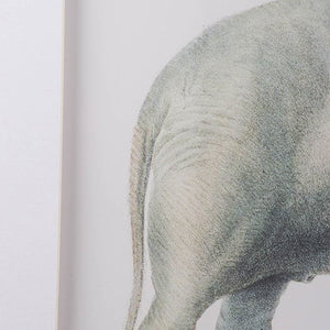 23.6x31.5" Fake Elephant Pencil Drawings, Set of 2