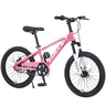 ZUKKA 20 Inch Mountain Bike for Boys and Girls (Ages 7-10)