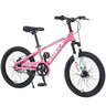 ZUKKA 20 Inch Mountain Bike for Boys and Girls (Ages 7-10)