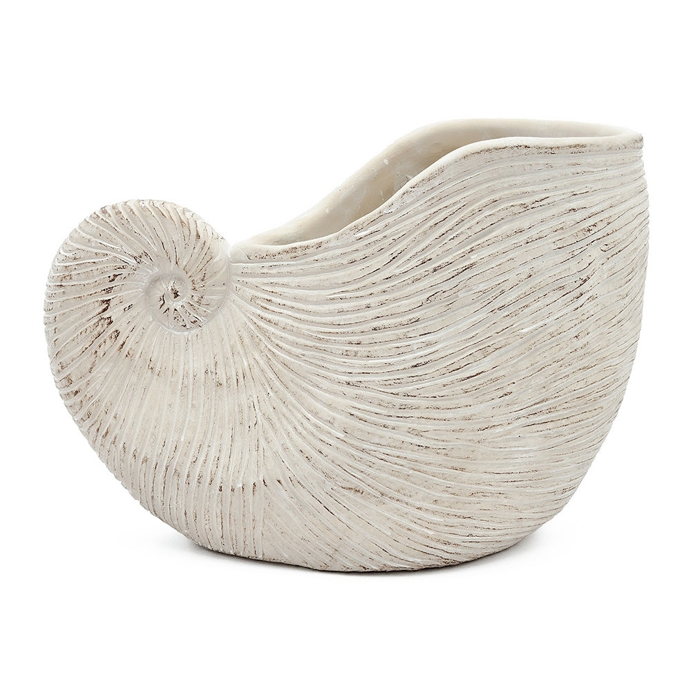 11.5x6.7x7.7 Sand and Cement Nautilus Shell Planter with Textured Beige Finish