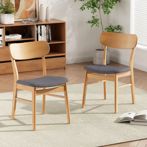 Brilliantine Dining Chair With Cushion and Wood Frame (Set of 2)