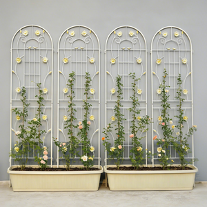 4 Pack Metal Garden Trellis