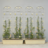 4 Pack Metal Garden Trellis