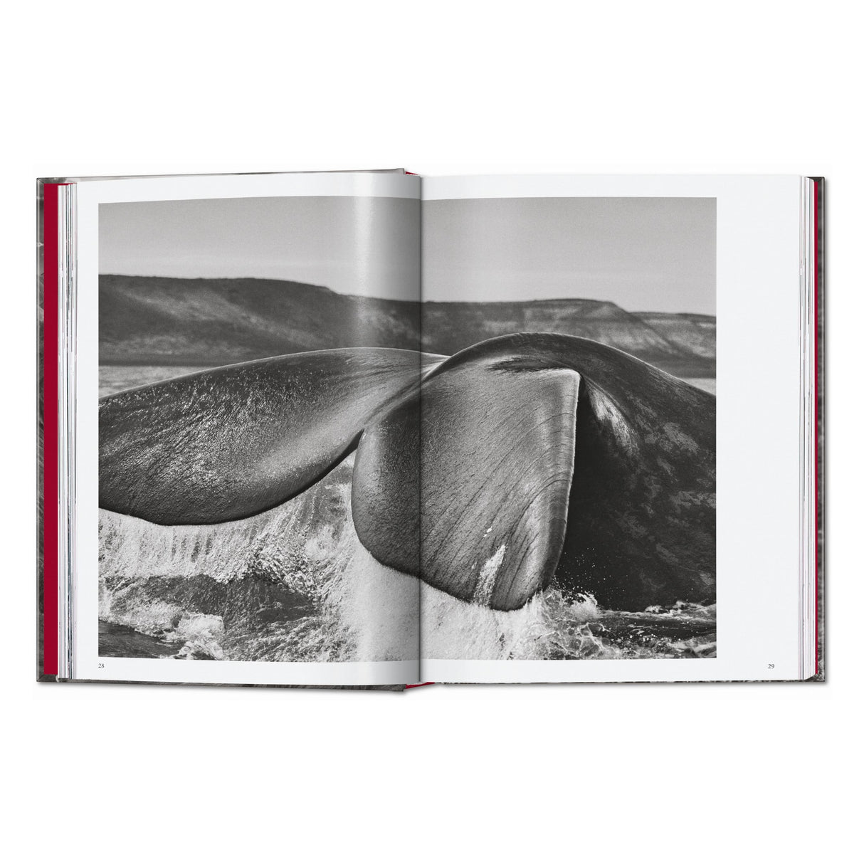 Sebastião Salgado. Genesis. 45th Ed. (English)