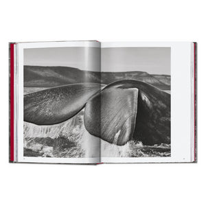 Sebastião Salgado. Genesis. 45th Ed. (English)