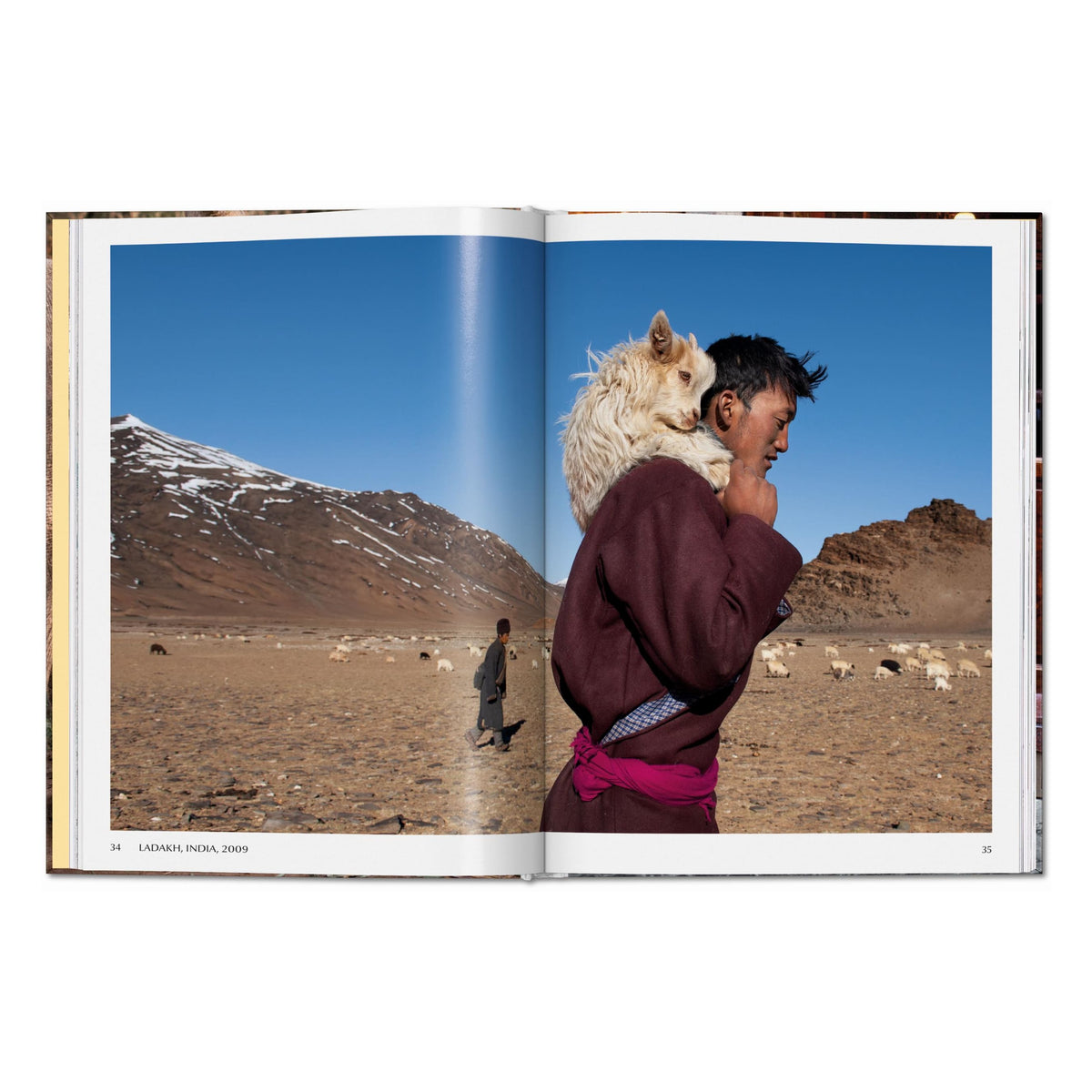 Steve McCurry. Animals (English)