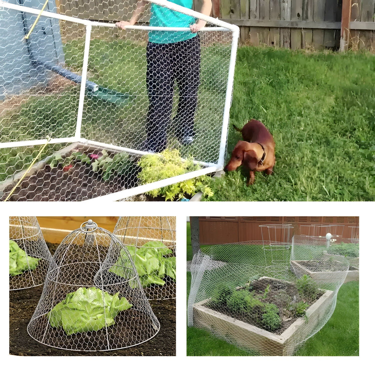 Galvanized Metal Hexagonal Mesh Fence for Garden Protection