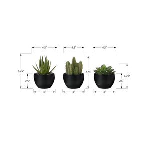 Artificial Succulent Plants (Set of 3)