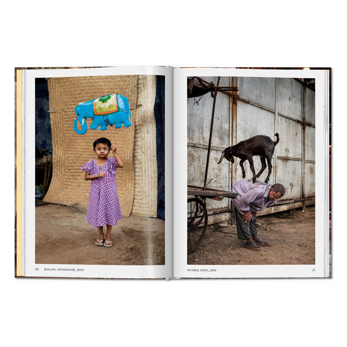 Steve McCurry. Animals (English)