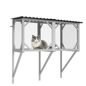 Cat Window Box