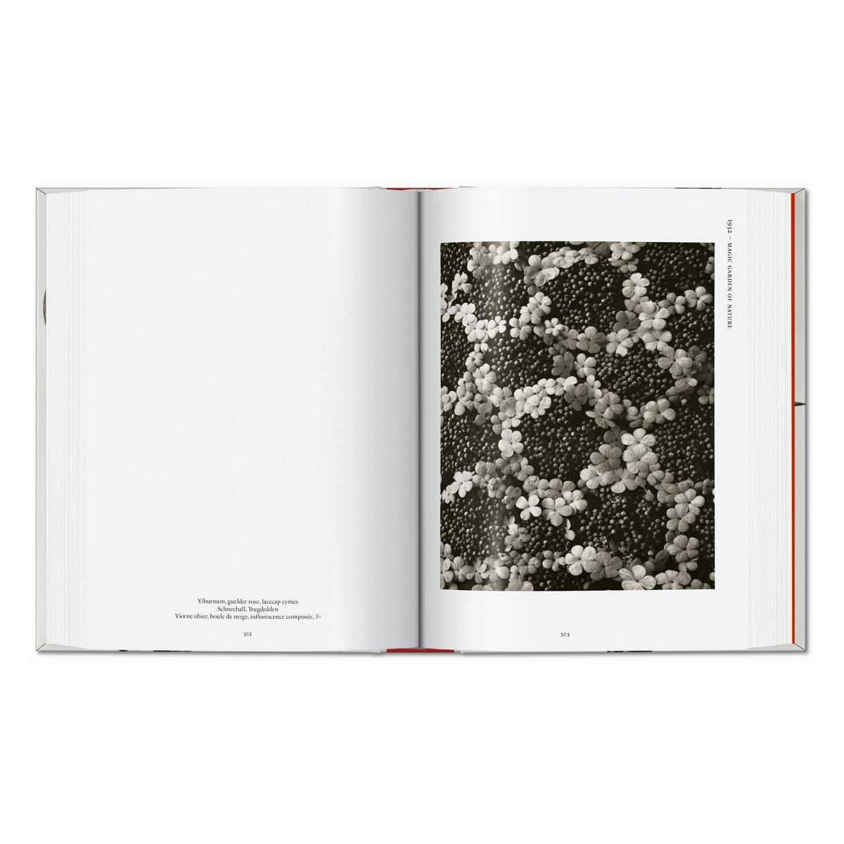Karl Blossfeldt. The Complete Published Work. 45th Ed. (German, French, English)