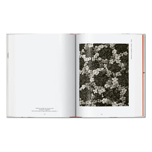 Karl Blossfeldt. The Complete Published Work. 45th Ed. (German, French, English)