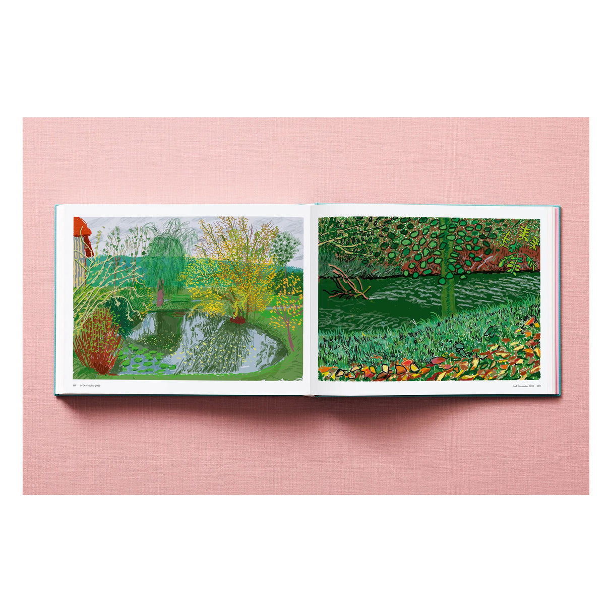 David Hockney. 220 for 2020 (English)