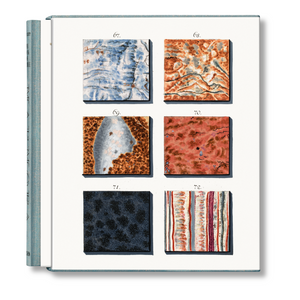 Jan Christiaan Sepp. The Book of Marble (German, French, English) (FFE)