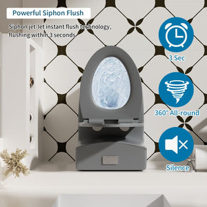1 Piece Toilet With Dual Flush And Soft Closing Seat