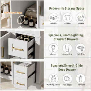 Modern Bathroom Vanity With Ceramic Sink, Soft Close Storage Cabinet