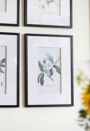 Botanical Wall Art Prints, Home Decor For Living Room Dining Room, Bedroom, Hallway (Set of 4) - White / Black