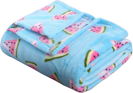 Summertime whimsy plush fleece throw blanket (50" x 60") - watermelon slices