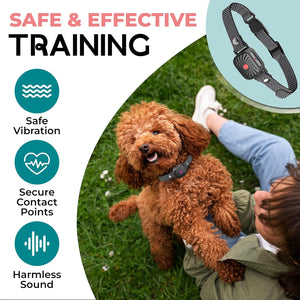 Adjustable Anti Bark Dog Collar Training Collar with Safe Stimulation