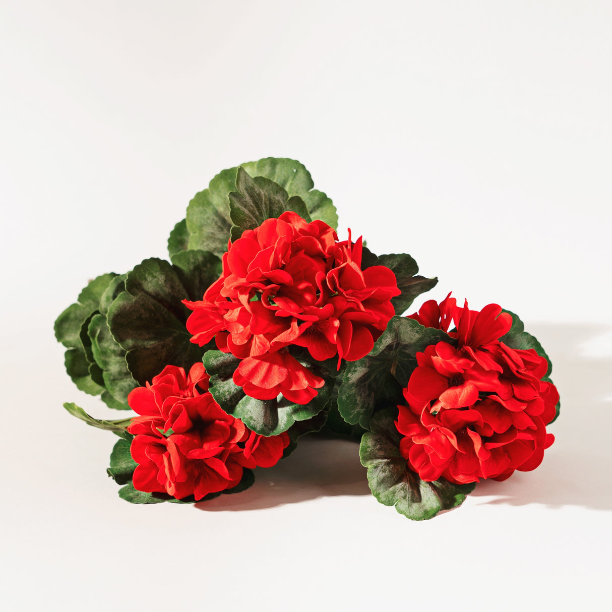 Red geranium floral bush (set of 2)
