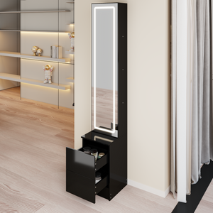 LED Dressing Mirror Cabinet with Adjustable Brightness