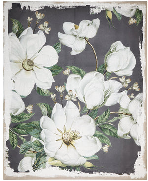48 x 60 Large Botanical Wall Art Prints