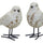 Bird-figurine-with-carved-floral-design-(set-of-2)-Figurines