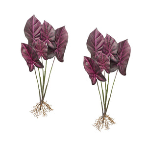 Burgandy-caladium-plant-with-roots-accent-(set-of-2)-Artificial-Flowering-Plants
