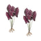 Burgandy-caladium-plant-with-roots-accent-(set-of-2)-Artificial-Flowering-Plants