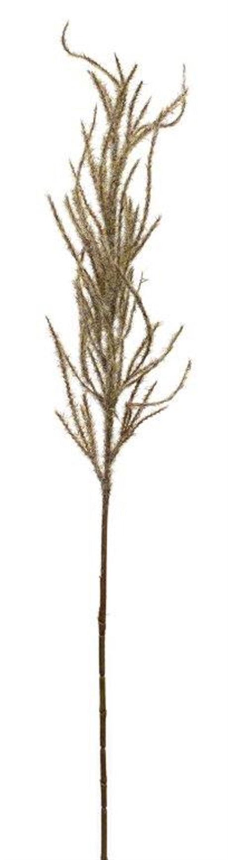 Flocked beige pampas grass spray (set of 4)