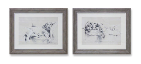 Melrose-framed-dog-print-(set-of-2)-Wall-Art