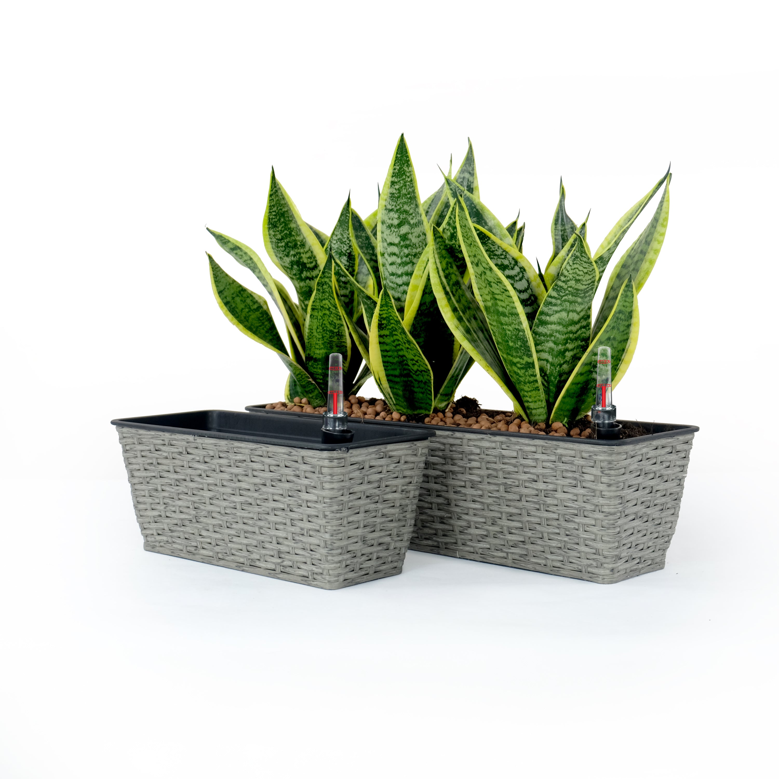 2-Pack-Smart-Self-watering-Rectangle-Planter-for-Indoor-and-Outdoor-Hand-Woven-Wicker-Gray-Pots-&-Planters