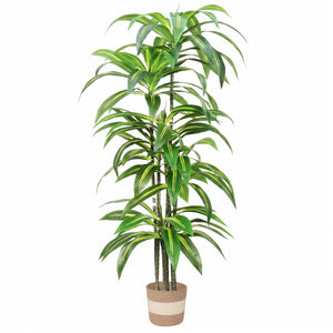 Dracaena Artificial Plant Indoor - 5.5FT