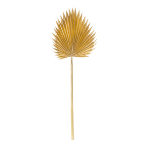Natural gold fan palm leaf (set of 6)