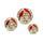 LED-Frosted-Cardinal-Orb-with-Berry-Branch-Design-(Set-of-3)-Christmas-Ornaments