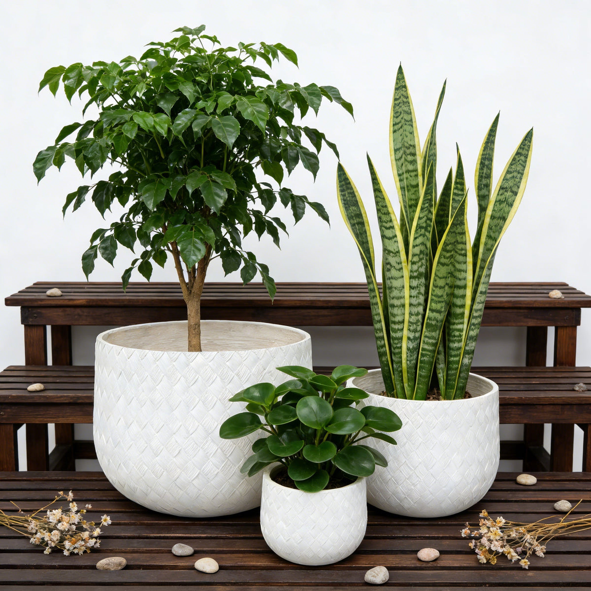 Assorted Sizes Magnesium Oxide Round Planter Set of 3 with Drainage Holes - Natural