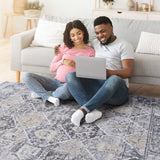 NAAR PAYAS Traditional Non-Shedding and Stain Resistant Area Rug