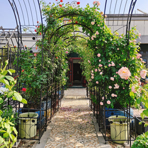Metal Garden Arch With Two Plant Stands Wide High Climbing Plants Support Rose Arch Outdoor - Black