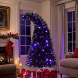 6Ft Curved Hat-Look Black Holiday Tree with Orange & Purple Lights