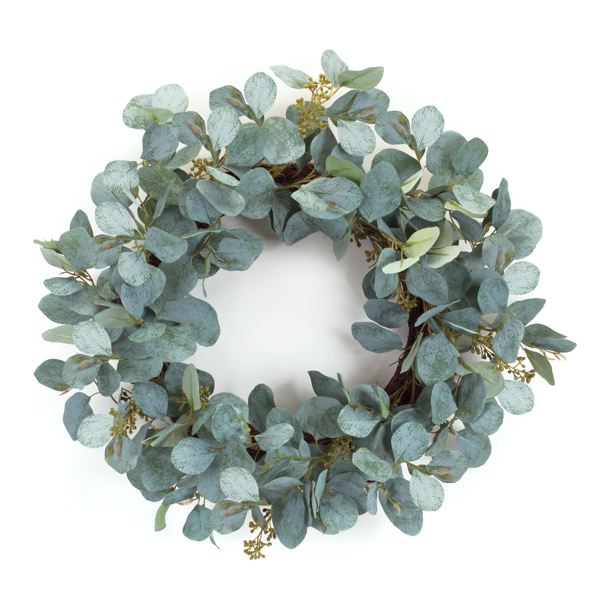 Silver Dollar Eucalyptus Wreath 20"D
