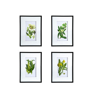 Verdure Elegance™ — Set of 4 Botanical Wall Art Prints