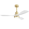 Indoor Ceiling Fan With Dimmable LED Light, 6-Speed Remote Control, LED DC Motor, Reversible Blades