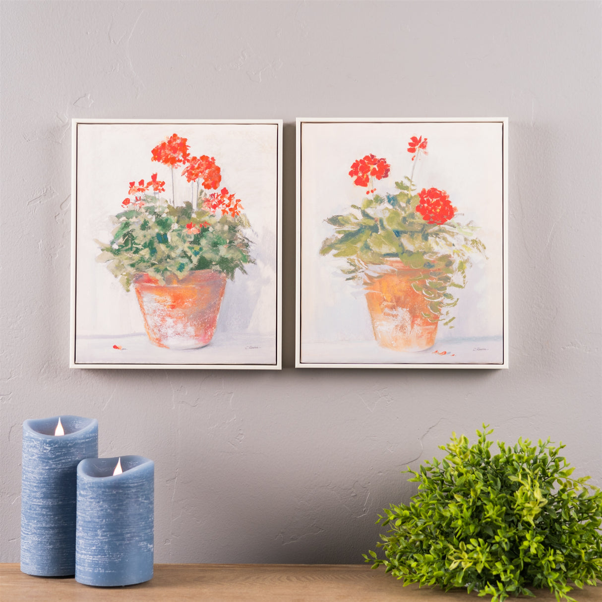 Framed potted geranium print (set of 2)
