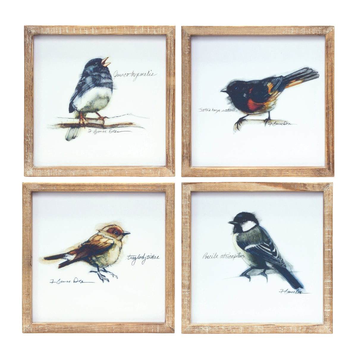 Wood-Framed-Bird-Art-Print-(Set-of-4)-Wall-Art