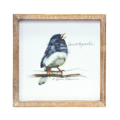 Wood Framed Bird Art Print (Set of 4)